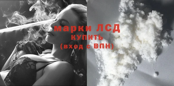 сатива Аркадак