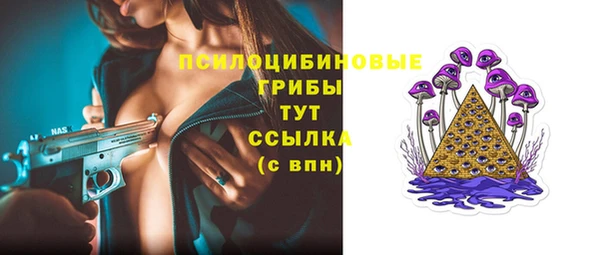 сатива Аркадак