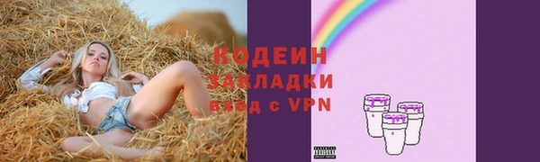 спиды Арсеньев