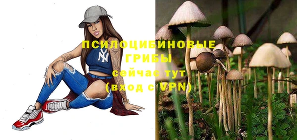 сатива Аркадак