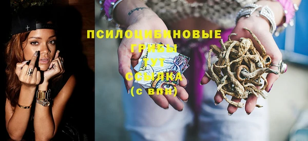 сатива Аркадак