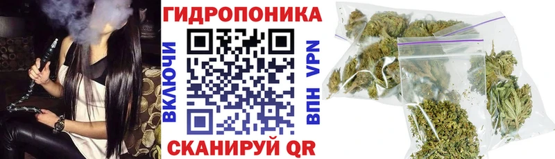 OMG маркетплейс  Лаишево  Бошки Шишки SATIVA & INDICA  где найти наркотики 